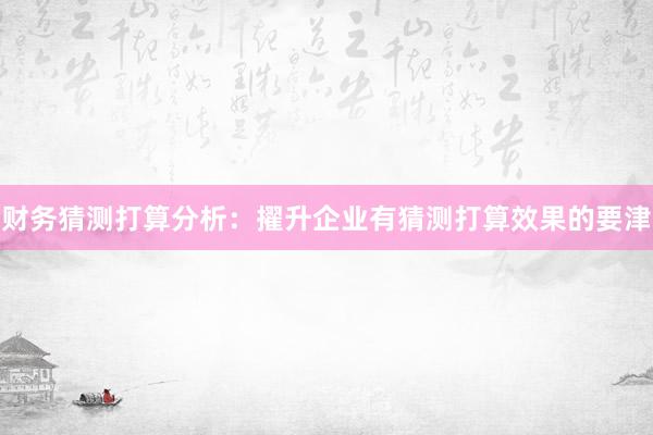 财务猜测打算分析：擢升企业有猜测打算效果的要津